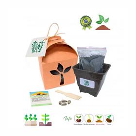 Kit Ecológico Kraft com Sementes - VP8