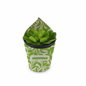 Vaso com Suculenta - VP10