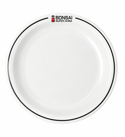 Prato em Porcelana Raso Iguaçu - RP6 VD