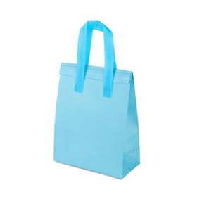 Sacola Térmica - 30 x 24 cm - SA249 AI
