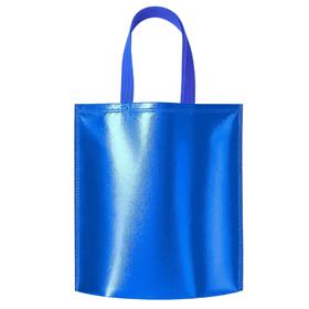 Sacola TNT Metalizado - SA253